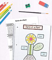 Carson Dellosa 1st Grade Interactive Notebooks, Reproducible Workbook Covering Physical, Space, and Earth Science