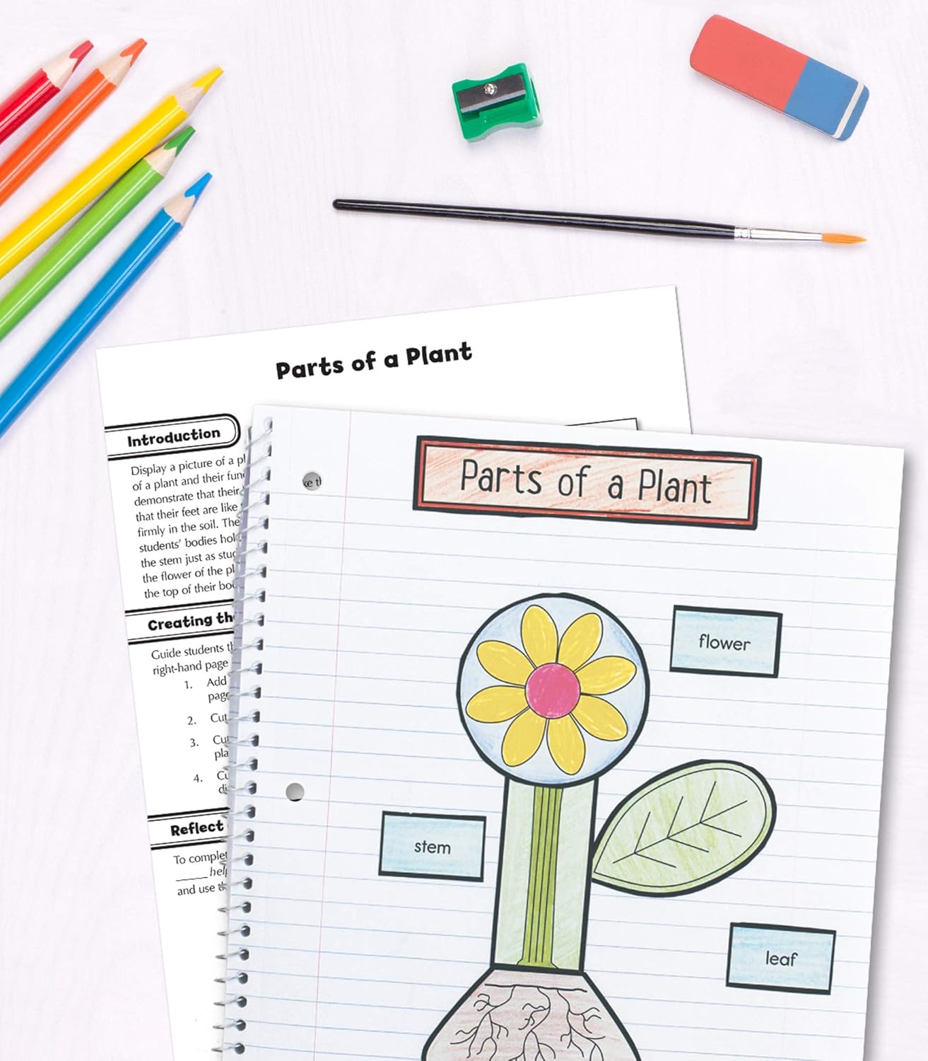 Carson Dellosa 1st Grade Interactive Notebooks, Reproducible Workbook Covering Physical, Space, and Earth Science