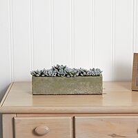 Nearly Natural Succulent 5-1/2inH Plastic Garden With Textured Concrete Planter, 5-1/2inH x 13-1/2inW x 4-1/2inD, Green