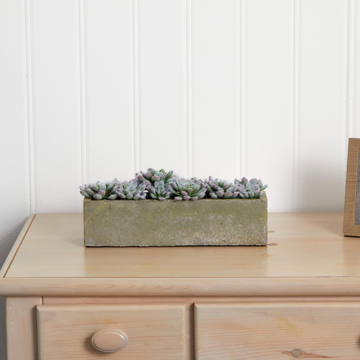 Nearly Natural Succulent 5-1/2inH Plastic Garden With Textured Concrete Planter, 5-1/2inH x 13-1/2inW x 4-1/2inD, Green