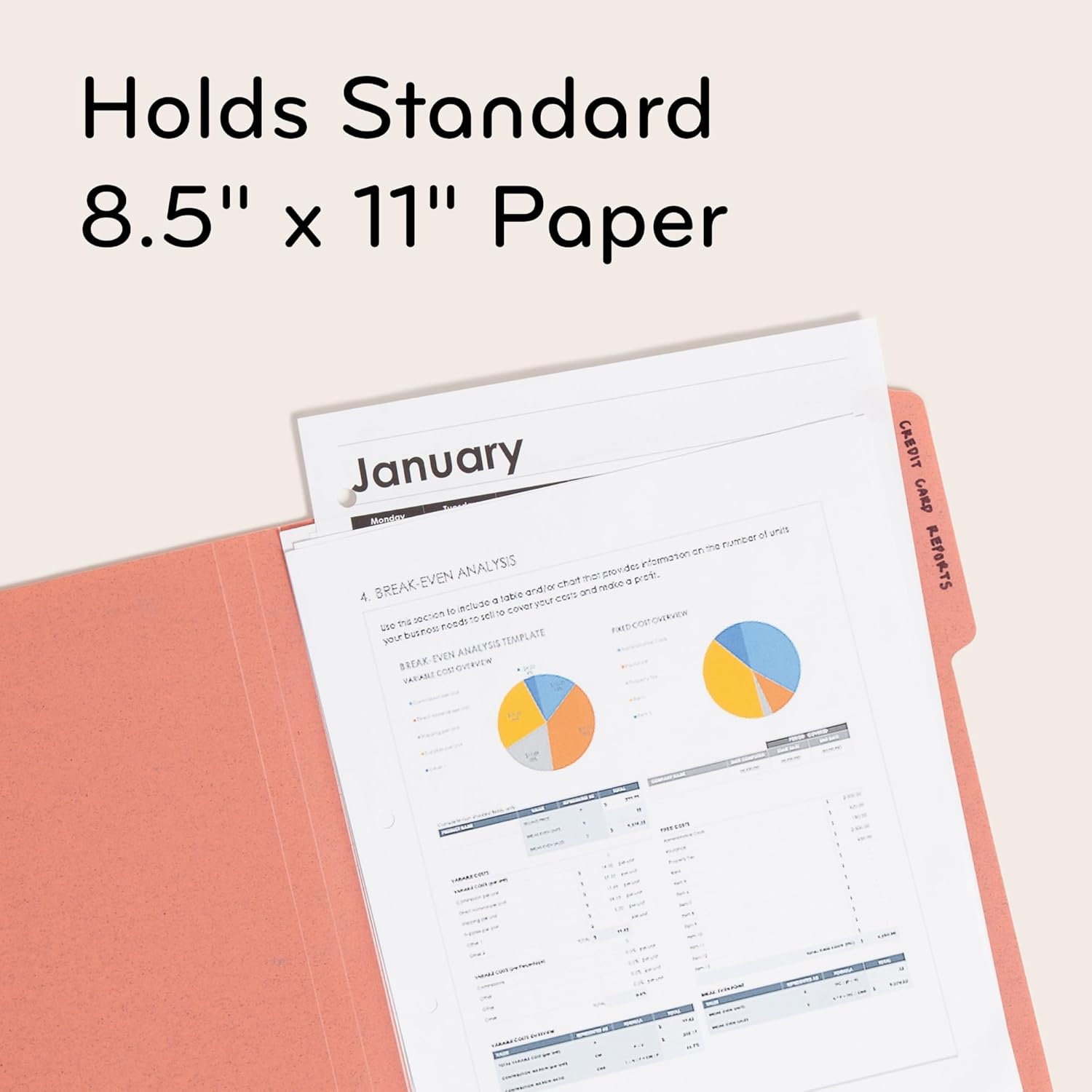 U Brands U-Eco Poly File Folders, Set of 24, Assorted Brights, 1/3-Cut Tabs, 100% Recycled Paper Labels (6597U01-12)