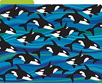 Barker Creek Designer File Folders Set of 12, Sea & Sky, Multi-Design, Reversible, Colorful Patterns Inside and Out