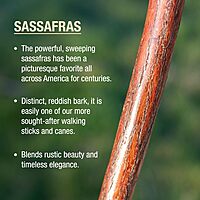 BRAZOS Free Form Rustic Wood Walking Stick, Traditional Handle, Made in USA