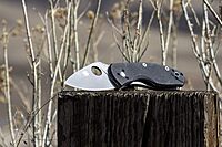 Spyderco Ambitious Value Knife with 2.31" Stainless Steel Blade and Durable Black G-10 Handle - PlainEdge - C148GP