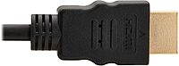 Tripp Lite High Speed HDMI Cable, Ultra HD 4K x 2K, Digital Video with Audio (M/M), Black, 10-ft. (P568-010),Multicolor