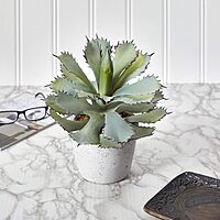 Nearly Natural Succulent 11inH Artificial Plant With Planter, 11inH x 10inW x 10inD, Green/White