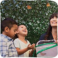 Insect Lore Raise and Release Butterfly Garden Kit – Caterpillar Habitat with redeemable Voucher – STEM-accredited Live Butterfly Growing Kit for Kids, Classrooms, and Homeschool Learning