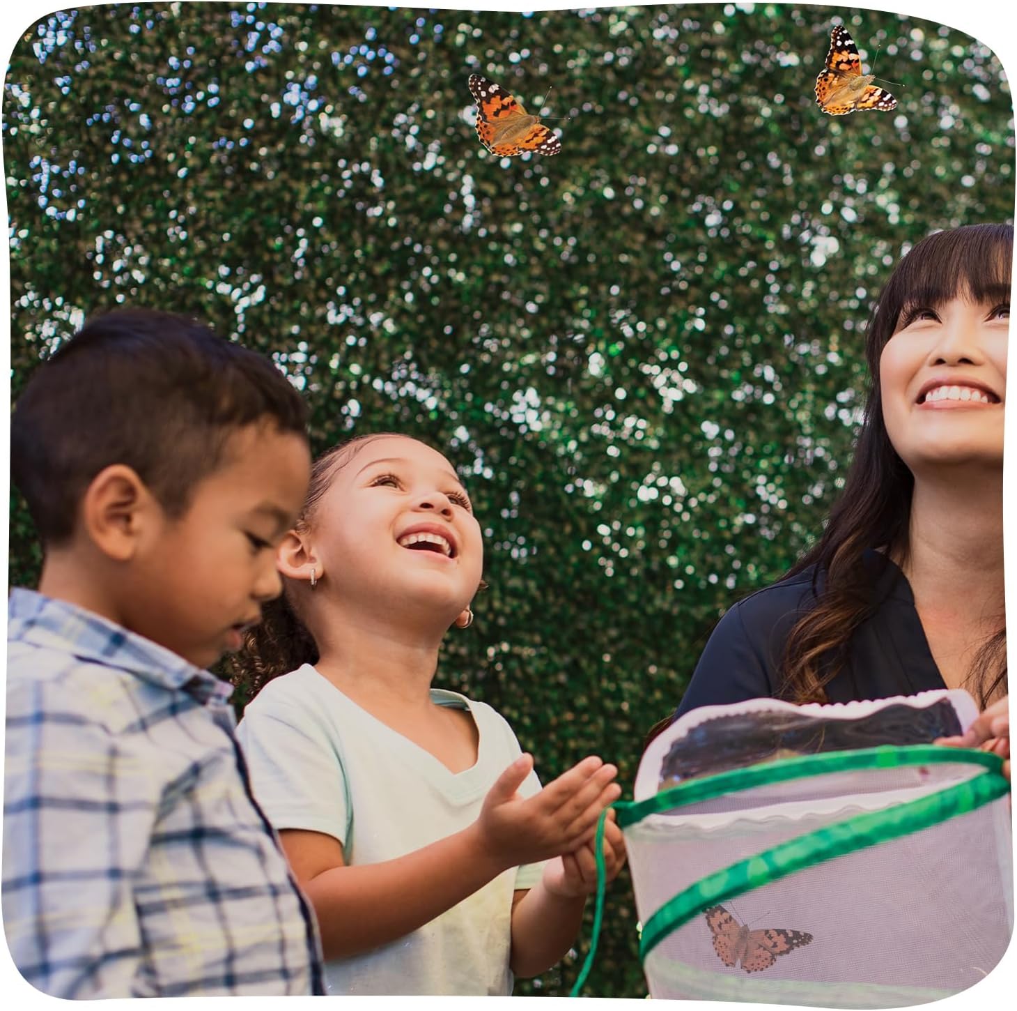Insect Lore Raise and Release Butterfly Garden Kit – Caterpillar Habitat with redeemable Voucher