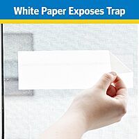 Raid Window Fly Traps, 4 Count (Pack of 4)