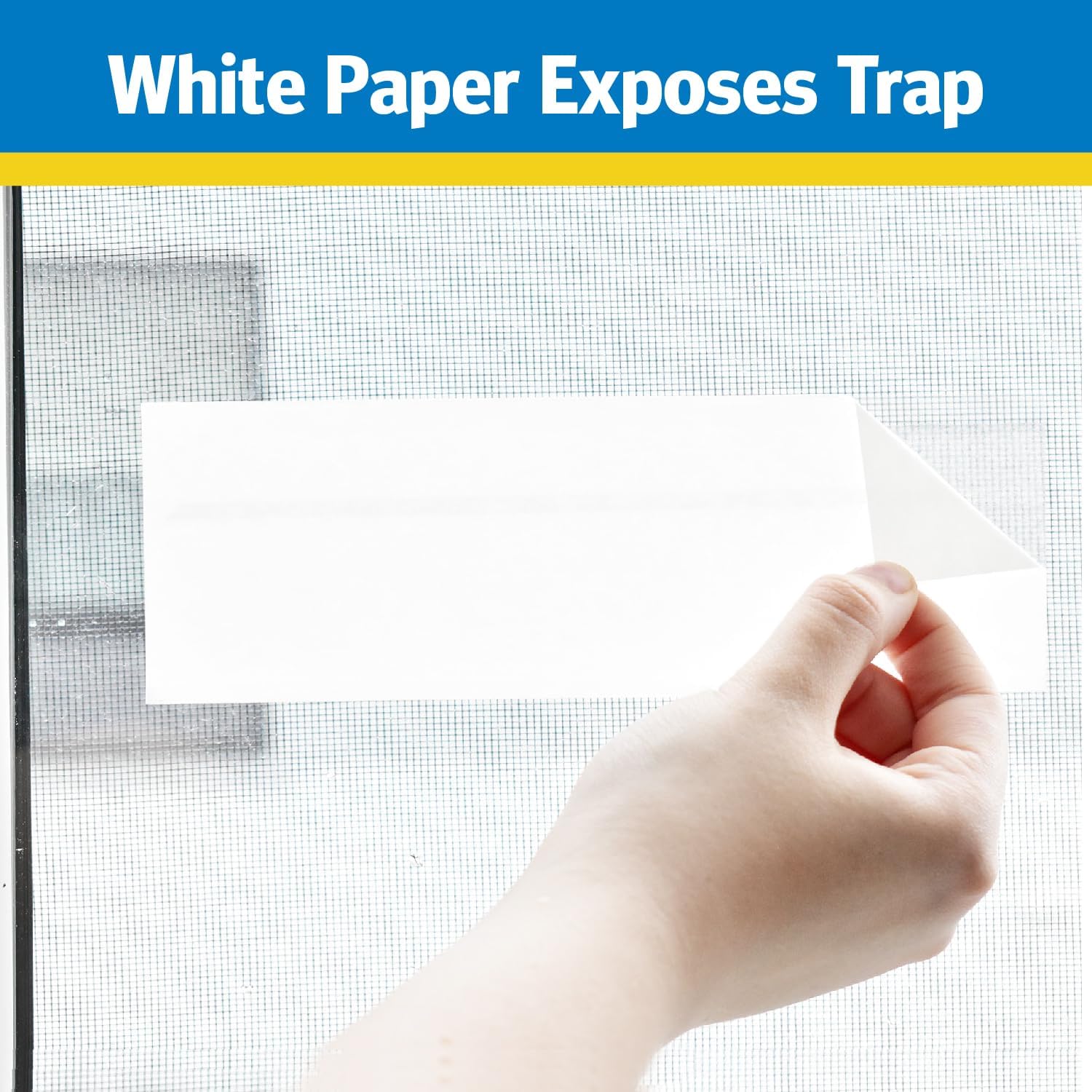 Raid Window Fly Traps, 4 Count (Pack of 4)