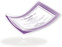 Fellowes Thermal Laminating Pouches, ImageLast, Jam Free, Letter Size, 3 Mil, 150 Pack (5200509), Clear