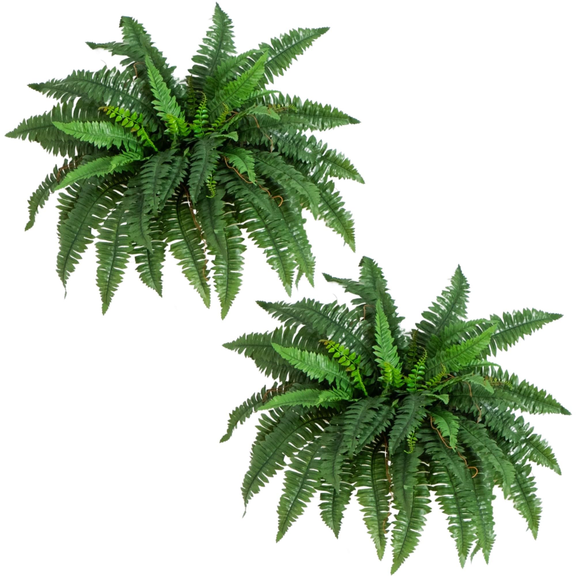 Nearly Natural 40IN Artificial Boston Fern Large Hanging Plant, Set of 2 Artificial Ferns that Look Real for Home Décor