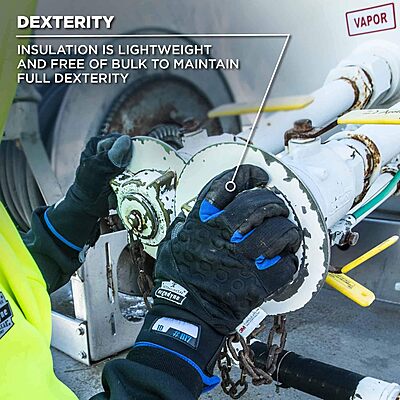 ERGODYNE ProFlex 817 Thermal Insulated Touchscreen Reinforced Palm Work Gloves