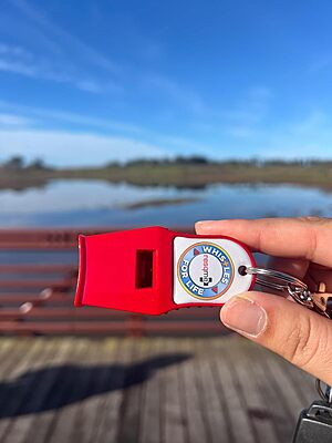 RESQME Whistle For Life - Safety Whistle
