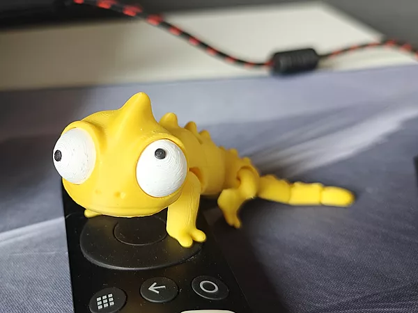 3D PRINTED CHAMELEON