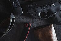 CRIMSON TRACE LG-489 Laserguard Red Laser Sight