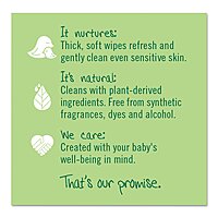 Seventh Generation 34219CT Free & Clear Baby Wipes, Refill, Unscented, White, 256/PK, 3 PK/CT 64 Count (Pack of 4)