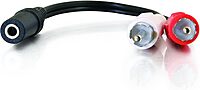 C2G Legrand 3.5MM to RCA Y-Cable, 6 Inch Y Splitter Audio Cable RCA, Female to Male 3.5MM to RCA Audio Cable, 1 Count