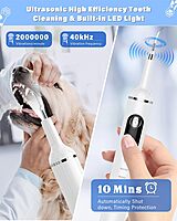 kit de cepillado de dientes de mascotas