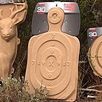 Birchwood Casey 3D Bullseye Torso 31 1/4" x 21 1/4" Targets | Lightweight Face and Torso Shooting Training Targets