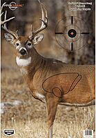Birchwood Casey Pregame 16.5x24 Whitetail Target 3 Pack