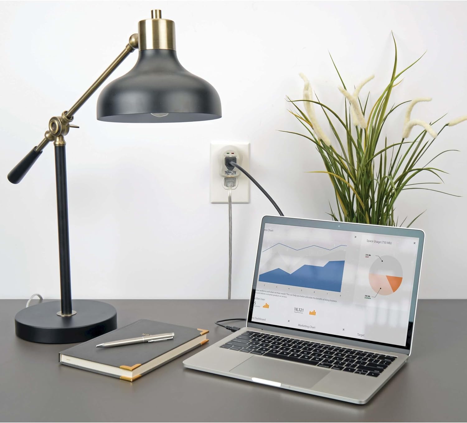 Tripp Lite 1 Outlet Portable Surge Protector Power Strip, Direct Plug In, $5,000 Insurance (SPIKECUBE) Standard