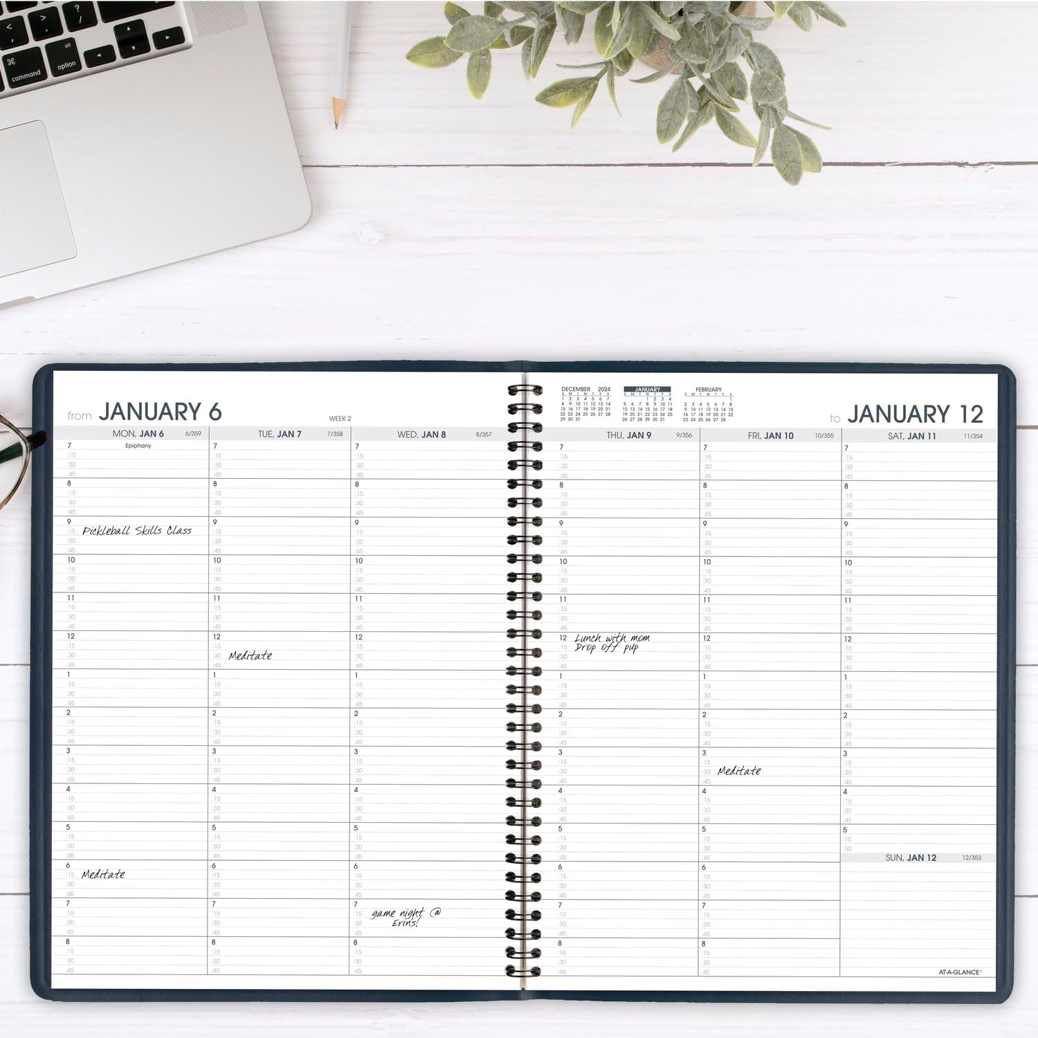 AT-A-GLANCE Weekly Appointment Book Planner, Large