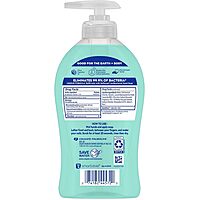 Softsoap Antibacterial Liquid Hand Soap Pump - 11.25 fl. oz. Bottle Citrus 1 Count (Pack of 1)