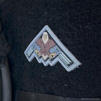 MAXPEDITION 3D PVC Morale Patch (Military/Patriotic)