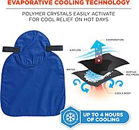 ERGODYNE Chill-Its Evaporative Polymer Cooling Hard Hat Pad