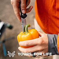 BENCHMADE Osborne 940 Folding Knife - AXIS Lock EDC