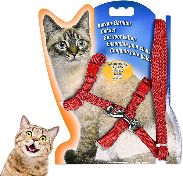Adjustable Cat Harness & Leash Set – Classic Nylon Strap