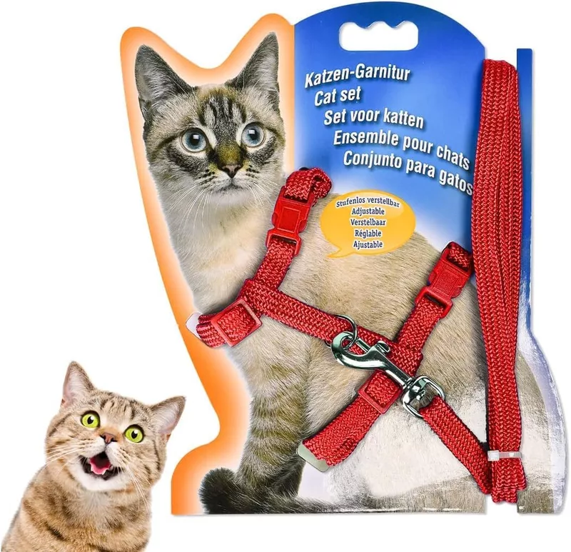 Adjustable Cat Harness & Leash Set – Classic Nylon Strap