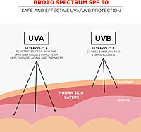Ergodyne KREW'D SPF 50 Sunscreen Lotion, Broad Spectrum, Water-Resistant