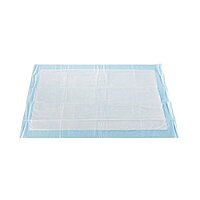 McKesson Classic Plus Disposable Underpad 23 X 36 Inch Fluff Mat Light Absorbency (BG/10EA)