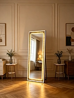 Black frame with LED crush diamond bevel mirror (with stand,26*69 INCH)
