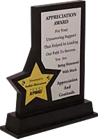 KPMG PLAQUES  TROPHY