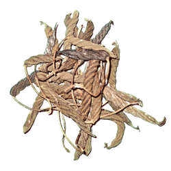 Eramuri, Baramuri for Lord Ganapathi/Ganesha Hawan/Homa 100g Pack