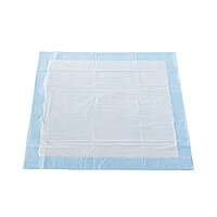 McKesson Classic Plus Disposable Underpad 23 X 24 Inch Fluff Mat Light Absorbency (BG/25EA)