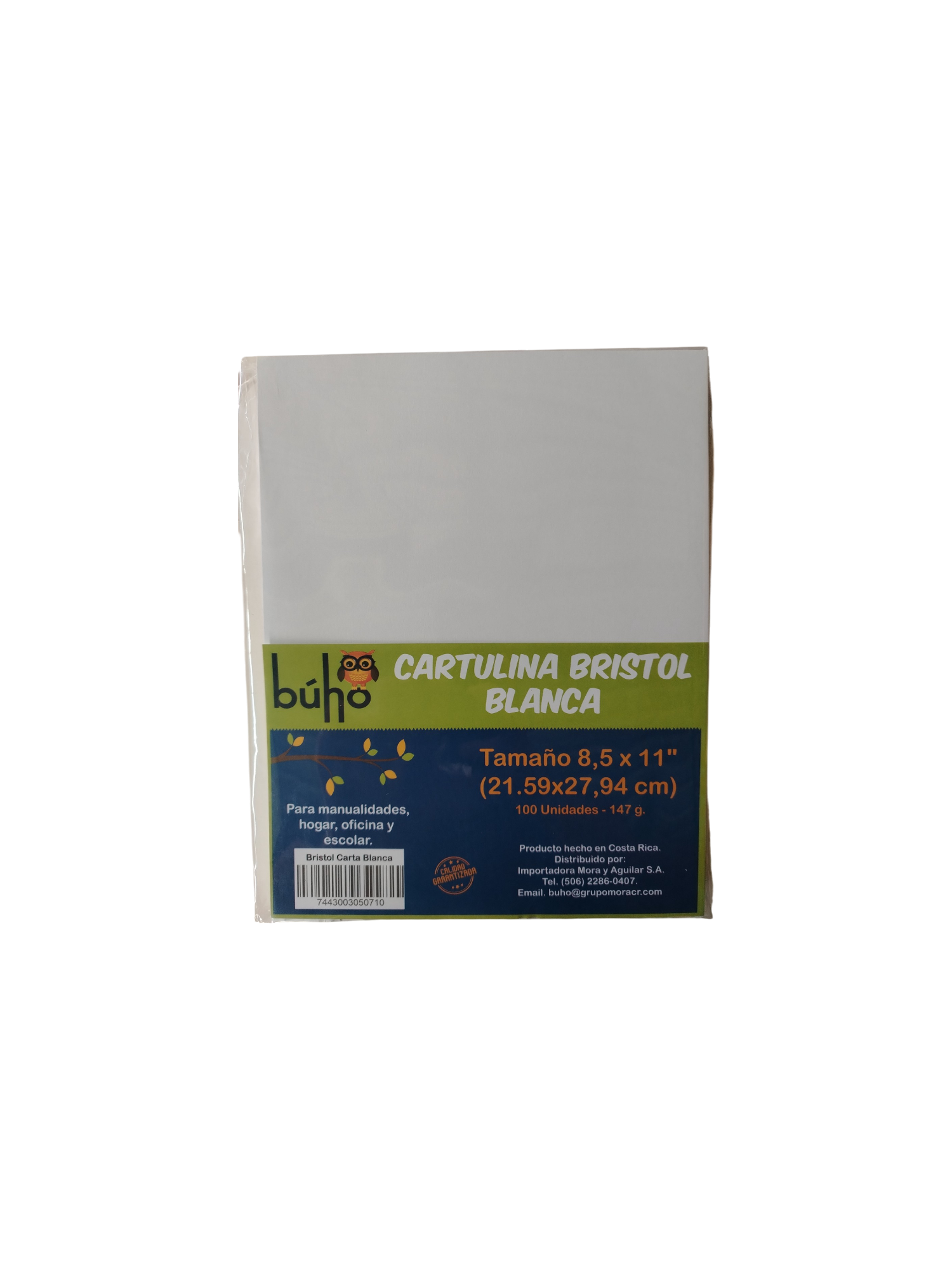 CARTULINA BRISTOL T/CARTA BLANCA 100U