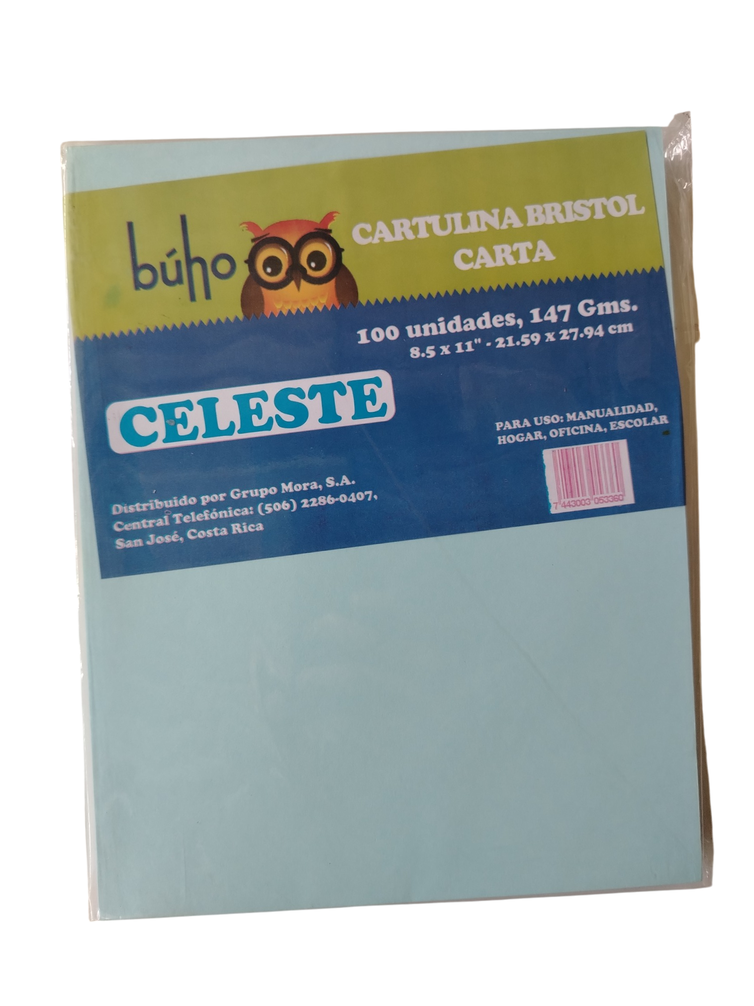 CARTULINA BRISTOL BUHO CARTA CELESTE 100s