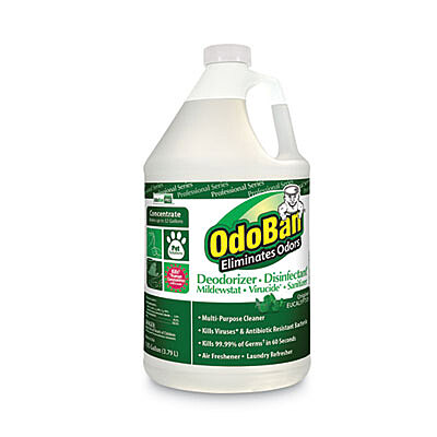 OdoBan Concentrated Odor Eliminator, Eucalyptus, 1 gal Bottle