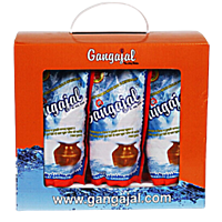 Gangajal 100% Pure Natural (10x200ml Pouches) for Pooja/Hawan/Gifting