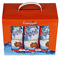 Gangajal 100% Pure Natural (10x200ml Pouches) for Pooja/Hawan/Gifting