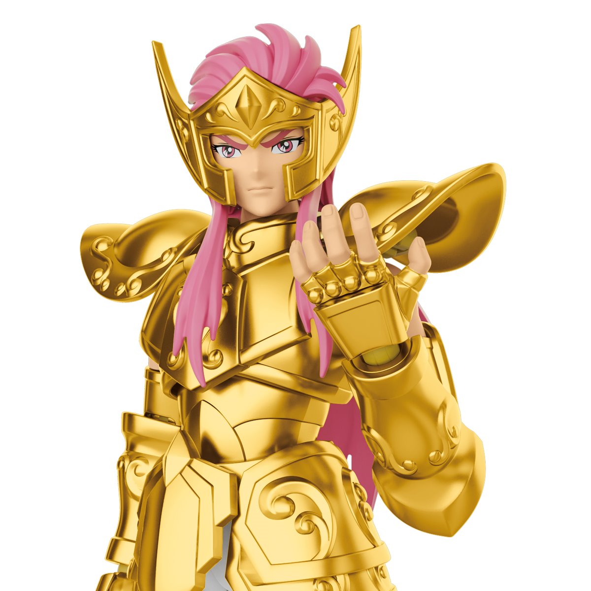 Aquarius Camus Saint Seiya Model Kit