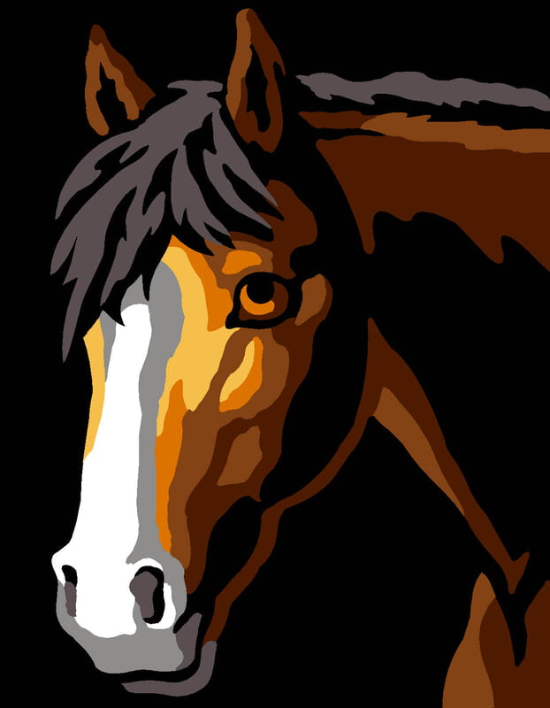 Chiaro Scuro Cavallo - Kit ricamo mezzopunto Chiaro Scuro Cavallo - Kit ricamo mezzopunto