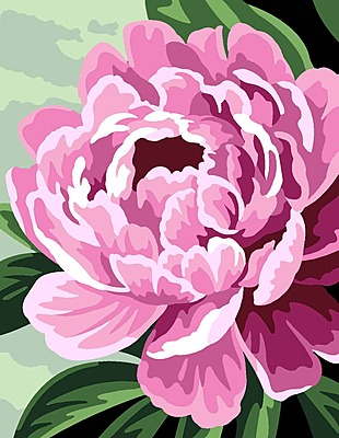 Peonia in fiore - Kit completo per mezzopunto