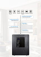 ToneWinner dual 15 inch DSP powered subwoofer