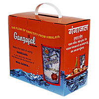 Gangajal 100% Pure Natural (10x200ml Pouches) for Pooja/Hawan/Gifting