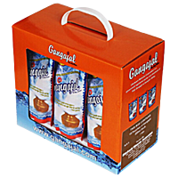 Gangajal 100% Pure Natural (10x200ml Pouches) for Pooja/Hawan/Gifting